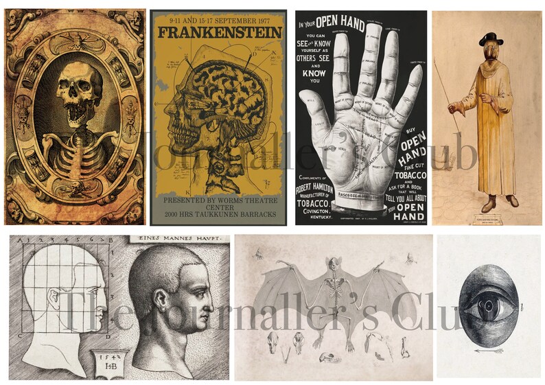 May include: A collection of vintage anatomical and scientific illustrations. Includes a skull and skeleton in an ornate frame, a poster for "Frankenstein," a palmistry chart, a figure in robes, and drawings of a head, a bat, and an eye.