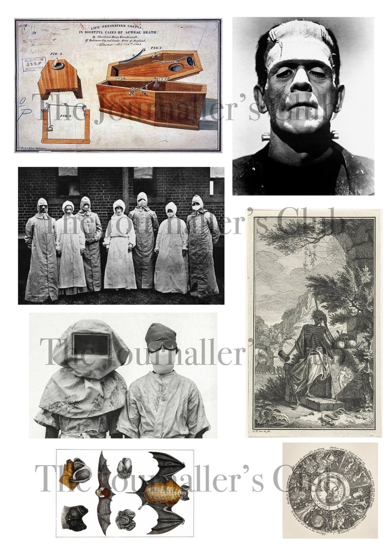 May include: A collage of vintage illustrations and photographs. Includes a diagram of a coffin, a portrait of Frankenstein's monster, a group of people in protective suits, and a detailed drawing of bats.