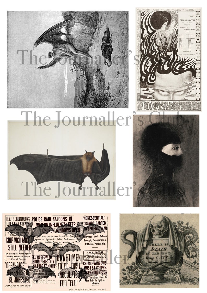 May include: Collection of vintage illustrations featuring bats, a surreal portrait, and a skull with a snake. One image shows a bat with outstretched wings, another a bat with a human-like face. The text "The Journaller's Club" is present.