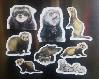May include: A set of nine ferret magnets featuring different poses and expressions. The magnets are printed on white paper and have a glossy finish.