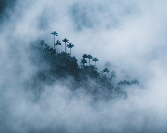 Montanhas de palmeiras da Colômbia / Nevoeiro / Vale Cocora / Arte para impressão / Foto da natureza / Download digital / Decoração estética de quarto / Impressão artística