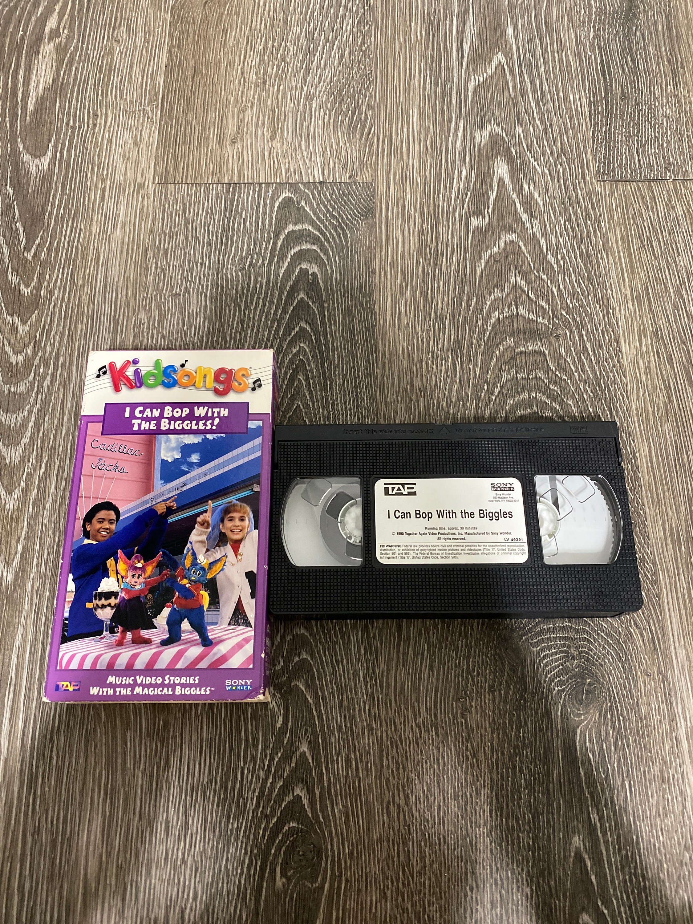 Kidsongs If We Could Talk To The Animals Vhs