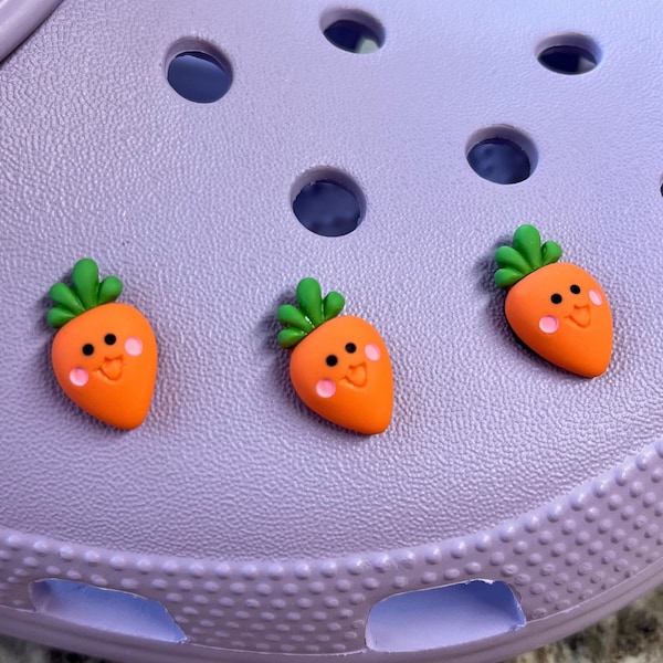 Carrot Croc Charms