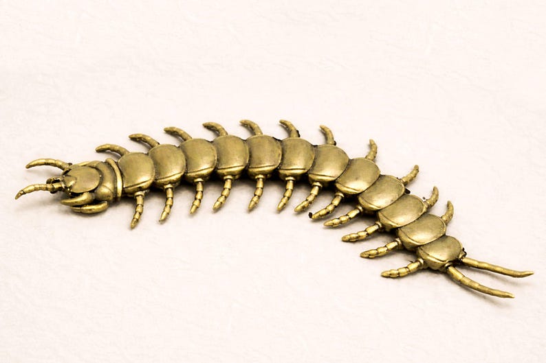 May include: A brass-colored centipede sculpture with segmented body and multiple legs. The sculpture has a detailed, realistic design and is positioned on a white surface. The centipede's body curves slightly.