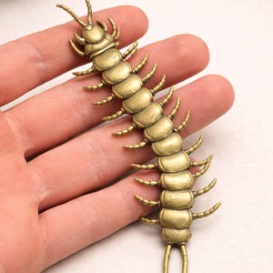May include: A detailed brass centipede figurine. The segmented body and multiple legs are clearly visible. The insect-like sculpture is a golden color and appears to be made of metal. The figurine is held in a hand.