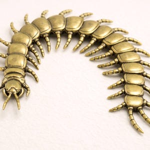 May include: A brass-colored centipede-shaped decorative object. The segmented body curves gently, with numerous legs extending from each segment. The head features antennae-like projections. The object is likely a piece of jewelry or a decorative element.