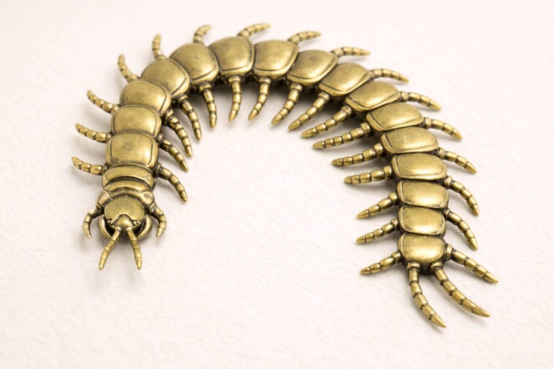 May include: A brass-colored centipede-shaped decorative object. The segmented body curves gently, with numerous legs extending from each segment. The head features antennae-like projections. The object is likely a piece of jewelry or a decorative element.