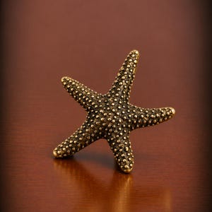 May include: A five-pointed starfish-shaped object with a metallic bronze finish. The surface features a textured, bumpy pattern across its entire body, mimicking the natural appearance of a sea creature with a rigid, solid construction.