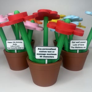 May include: A set of colourful flower-shaped pens in pots. Each pot has a personalised message. The messages include "Happy 18th Birthday Emily Lots of Love Your favourite sister sa", "Any personalised custom text or message maximum 65 characters", and "Get well soon! Lots of love The Waltons xx".