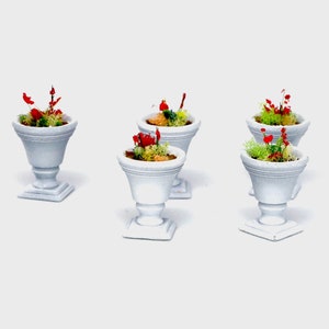 Peut inclure: Six urnes en céramique blanche avec des plantes vertes et rouges. Les urnes ont un design classique avec une base ronde et un sommet évasé.