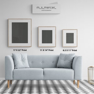 May include: Three framed prints of different sizes hanging on a white wall above a light blue sofa with two pillows. The prints are 17 x 22 inches, 11 x 14 inches, and 8.5 x 11 inches.
