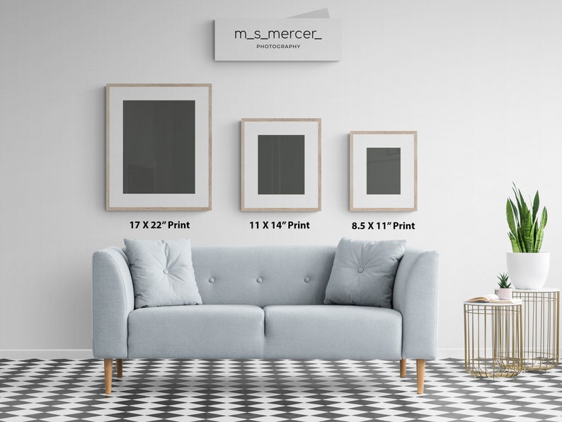 May include: Three framed prints of different sizes hanging on a white wall above a light blue sofa with two pillows. The prints are 17 x 22 inches, 11 x 14 inches, and 8.5 x 11 inches.