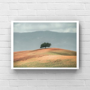 Lone Tree landschapsfotografie: California Rolling Hills Art Print