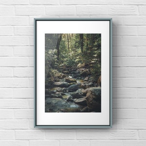 Woodland Photography, Ashland Creek, Wilderness Wall Art, Nature Photography, Nature Art Print, Trees, Forest