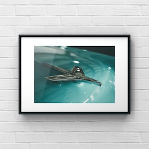 May include: A close-up of a vintage car's chrome hood ornament. The ornament is shaped like a stylized airplane and is set against a teal blue car body.