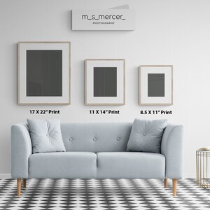 Op de afbeelding: Drie ingelijste prints van verschillende formaten hangen aan een witte muur boven een lichtblauwe bank met twee kussens. De prints zijn 17 x 22 inch, 11 x 14 inch en 8,5 x 11 inch.