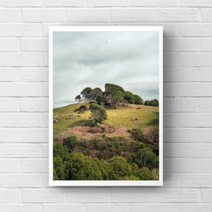 Landscape Photography, Marin County, Hilltop Wall Art, NorCal Art Wall Decor, California Photography