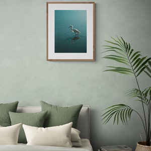 Op de afbeelding: Een witte reiger staat in een waterpartij, zijn reflectie is zichtbaar in het stille oppervlak. Het water is een levendige turquoise kleur, en de witte veren van de reiger contrasteren sterk met de achtergrond.