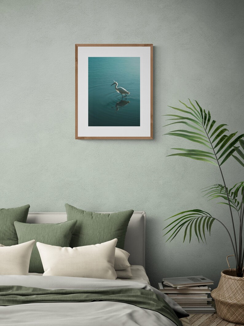 Op de afbeelding: Een witte reiger staat in een waterpartij, zijn reflectie is zichtbaar in het stille oppervlak. Het water is een levendige turquoise kleur, en de witte veren van de reiger contrasteren sterk met de achtergrond.