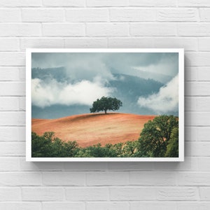 Landschapsfotografie Californië: print glooiende heuvels, kunst aan de muur eenzame boom