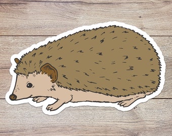 Cartoon Hedgehog Sticker Waterproof Vinyl Decal Great Gift - Etsy