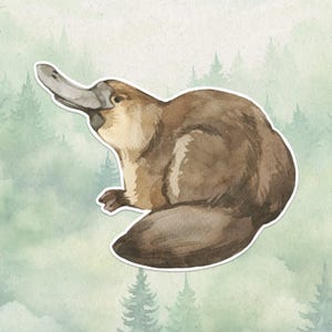 Waterproof vinyl platypus sticker, Cute animal lover gift, Great decal for laptops, kindles, and water bottles