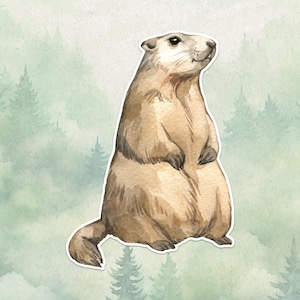 Waterproof vinyl marmot sticker, Cute animal lover gift, Great decal for laptops, kindles, and water bottles