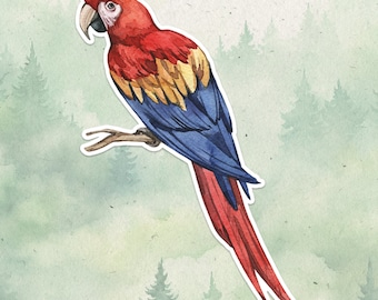 Macaw sticker, Waterproof vinyl decal, Parrot sticker
