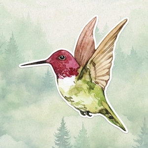 Waterproof vinyl hummingbird sticker, Cute animal lover gift, Great decal for laptops, kindles, and water bottles