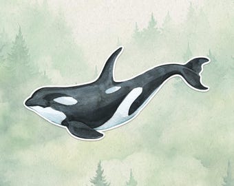 May include: A watercolor illustration of an orca whale featuring a black and white body with a prominent dorsal fin, a curved tail, and a distinct white eye patch, presented as a die-cut sticker with a white border against a pale green background.