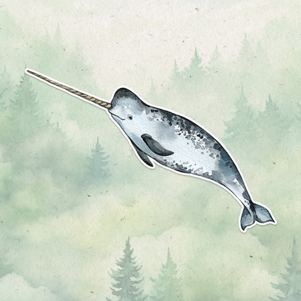 Narwhal Sticker - Etsy