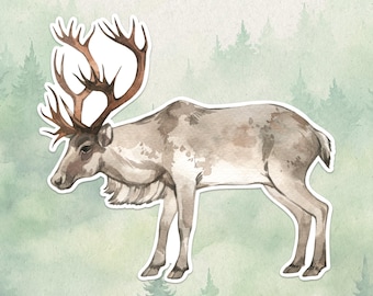 May include: Watercolor illustration of a reindeer with large brown antlers. The reindeer is light gray with brown markings and is set against a soft green background with a forest silhouette.