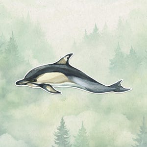 Waterproof vinyl dolphin sticker, Cute animal lover gift, Great decal for laptops, kindles, and water bottles