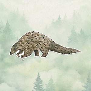 Wasserdichter Vinyl-Pangolin-Aufkleber, niedliches Tierliebhabergeschenk, großartiger Aufkleber für Laptops, kindles und Wasserflaschen