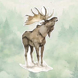 Moose sticker, Waterproof vinyl decal, Animal lover gifts