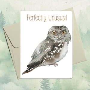 Custom handmade tawny frogmouth card, Cute animal lover gift, Personalized bird greeting card