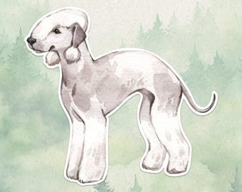 May include: A watercolor illustration of a Bedlington Terrier dog with a light gray and white coat. The dog is depicted in a standing profile position, featuring a distinctively rounded head shape, long ears with tufted fur, and a curved tail.