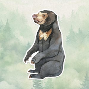 Adesivo de vinil à prova d'água com urso-sol, presente fofo para amantes de animais, ótimo decalque para laptops, kindles e garrafas de água