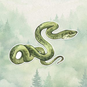 Könnte beinhalten: Eine Aquarellillustration einer grünen Schlange mit weißem Rand, die einen gewundenen Körper und einen detaillierten Kopf mit sichtbaren Schuppen und einem dunklen Auge zeigt, vor einem hellgrünen Hintergrund mit Waldsilhouette.
