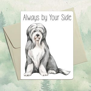 Custom handmade Bearded Collie card, Cute pet lover gift, Personalized dog greeting card