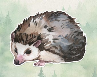 Waterproof vinyl hedgehog sticker, Cute animal lover gift, Great decal for laptops, kindles, and water bottles