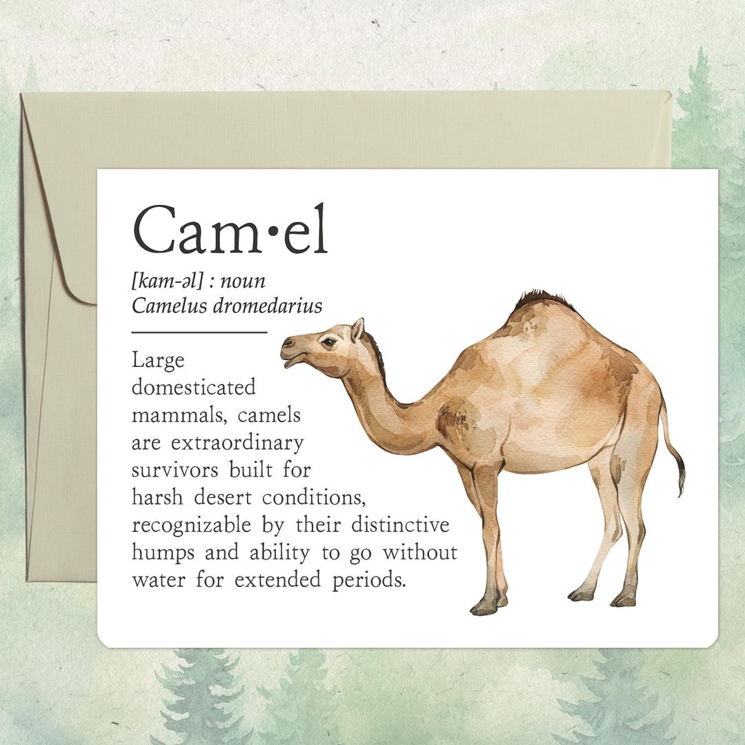 Handmade Camel Card, Cute Animal Lover Gift, Dictionary Definition ...