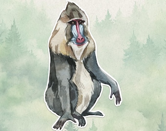 Wasserdichter Vinyl Mandrill Aufkleber, niedliches Affenliebhaber Geschenk, großartiger Aufkleber für Laptops, Kindles und Wasserflaschen