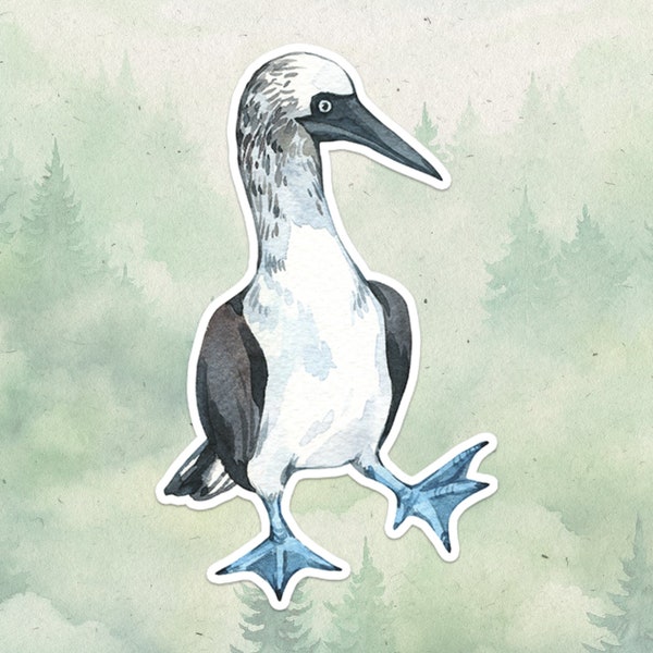 Blue footed booby sticker, Waterproof vinyl decal, Bird sticker