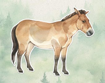 Waterproof vinyl Przewalski horse sticker, Cute animal lover gift, Great decal for laptops, kindles, and water bottles