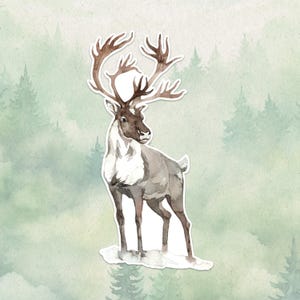 Adesivo in vinile impermeabile con renna, simpatico regalo per gli amanti degli animali, ottimo adesivo per laptop, Kindle e bottiglie d'acqua.