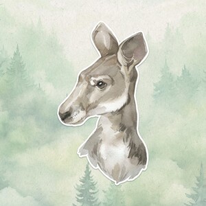 Sticker kangourou en vinyle imperméable, cadeau mignon pour les amoureux des animaux, excellent sticker pour ordinateurs portables, Kindle et bouteilles d'eau