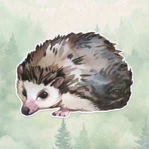 Sticker hérisson en vinyle imperméable, cadeau mignon pour les amoureux des animaux, excellent sticker pour ordinateurs portables, Kindle et bouteilles d'eau