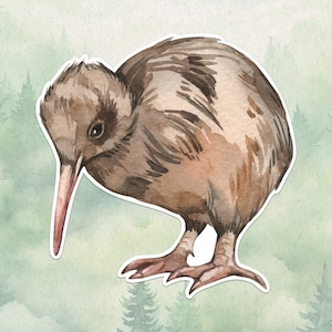 Adesivo de vinil à prova d'água kiwi, presente fofo para amantes de pássaros, ótimo decalque para laptops, kindles e garrafas de água