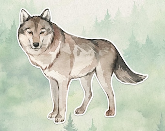 May include: A watercolor illustration of a gray and brown wolf standing in profile, facing forward with alert ears and a thick coat. The wolf is depicted with detailed fur textures and natural earth tones, set against a pale green forest background.